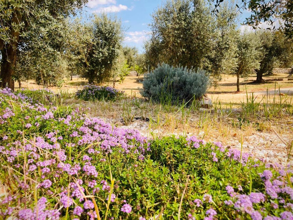 Trulli Acquasala - Apulian Country Experience Vila Ostuni Exterior foto